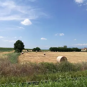 La Casetta, Nel Verde A Sommacampagna